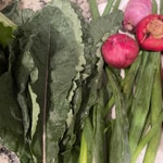 ncnachs-farmersmarket